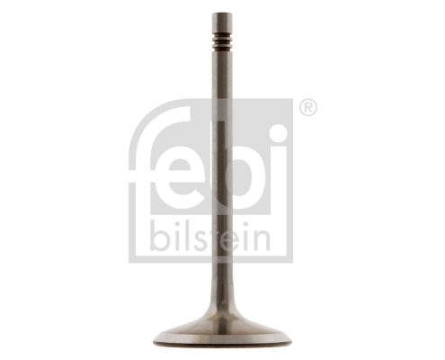 Intake Valve